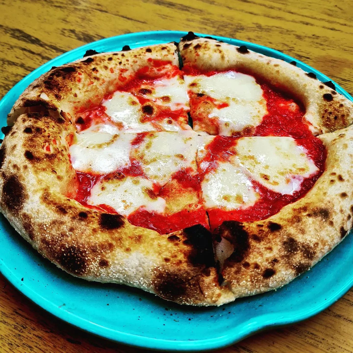 منيو بلينتي ديلي